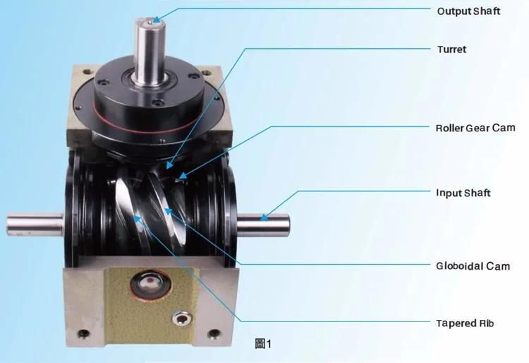 Rotary Indexing Tables Dividing Head Self-Locking During Positioning Ds Df Dfs Dt Da Dsu Dfn PU Lifting Sway Paradex Model