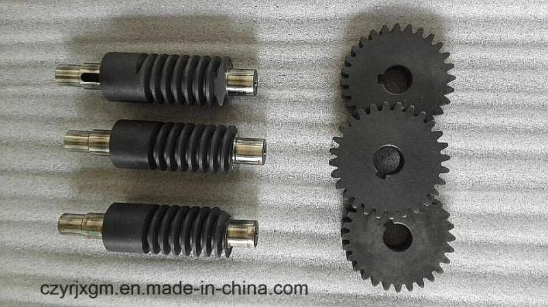 High Precision Carbon Steel More Head Worm Gear