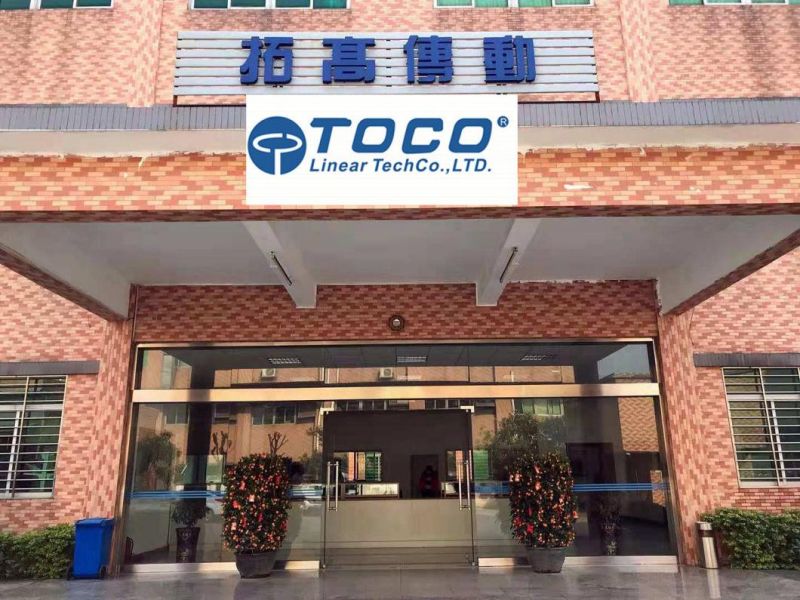 Toco Linear Guide Rail with Block Bearing Carriage