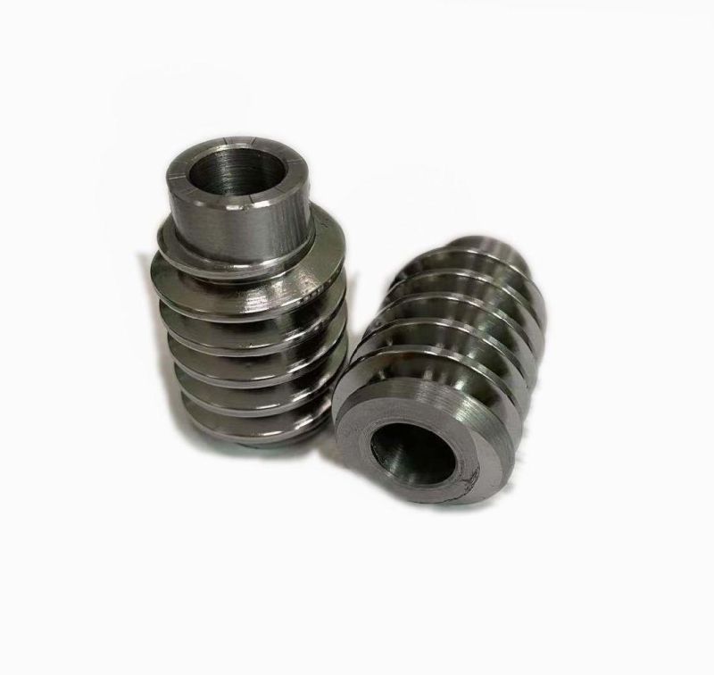 Transmission Mechanical Parts OEM/ODM CNC Turning Nylon Plastic Pinion Gear/Steel/Copper Spur Worm Gear