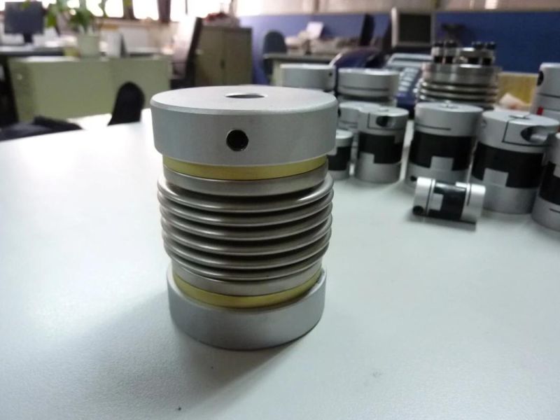 Beam Disc Coupling Flexible Mechanical Jaw Coupling with Elastomer D30 L40-30c for CNC Router