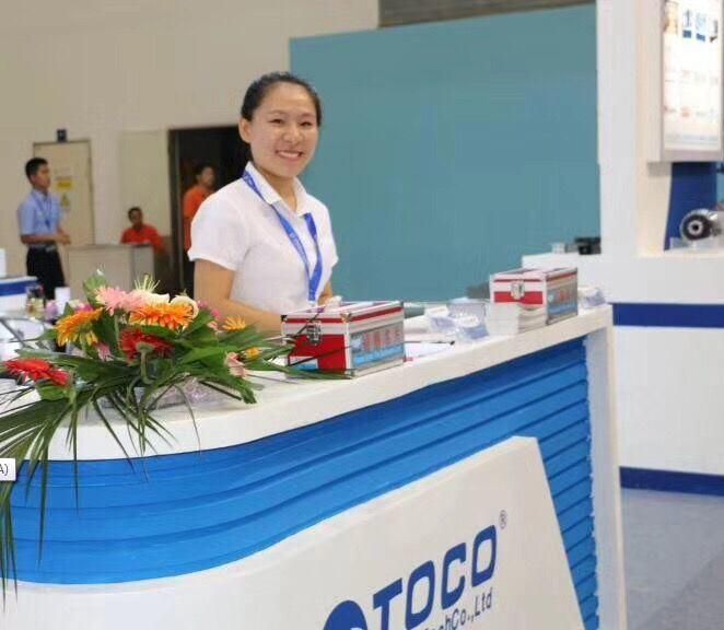 Toco Brand Horizonal or Vertical Usage Motorized Linear Guide for CNC Machine HGH25ca2r960z0c