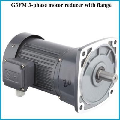 Stable Geared Motor for Food &amp; Beverages Industry