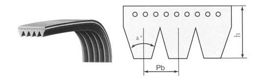 Poly Ribbed V Belt Pj with Coating PU or Rubber