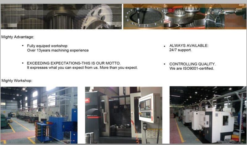 CNC Driving Precision Worm Gear