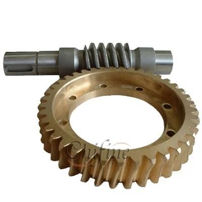 Auto Parts Transmission Worm Gear for Sale