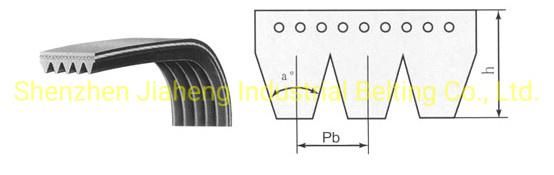 Model Pj Rubber Ribbed V Belt Micro V Belt