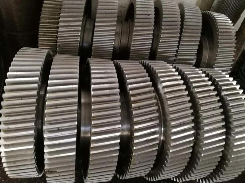 High Precision Carbon Steel More Head Worm Gear