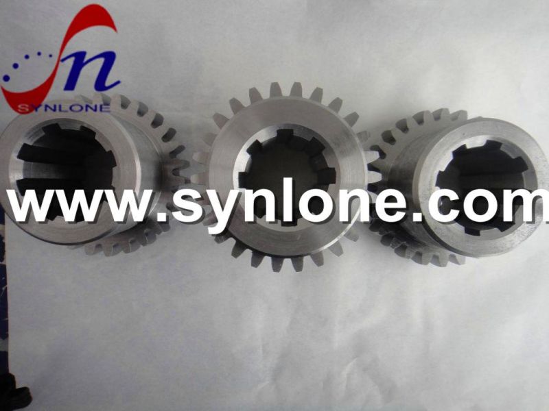 OEM Precision Stainless Steel/Brass/Aluminum Worm Gear