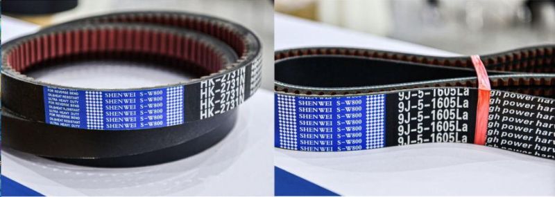 Factory Free OEM Cogged V Belts for Harvesters, Auto Car, etc.