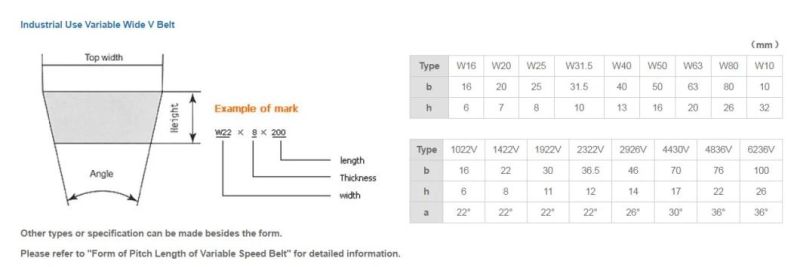 Variable Speed Belt for Industrial and Agriculture Use