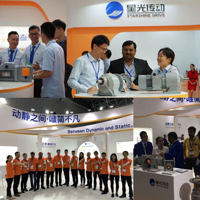 Planetary Gear Units for Mixer Tank