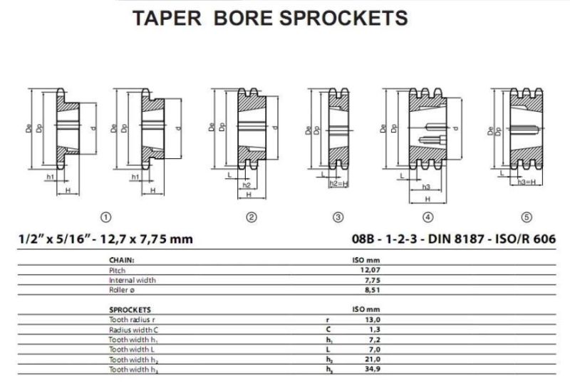 Motorcycle Rear Sprocket Wheel/Chain Double Row Sprocket Gear for Tricycle Spare Parts China Factory Directly Price