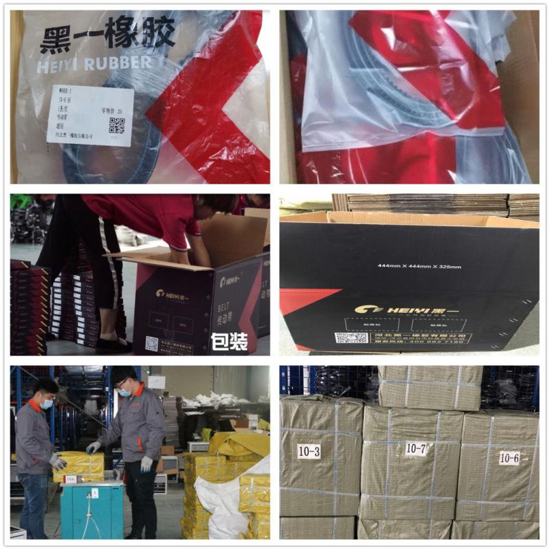 Rubber/EPDM Rubber V Belt Equipment for Car Engine,