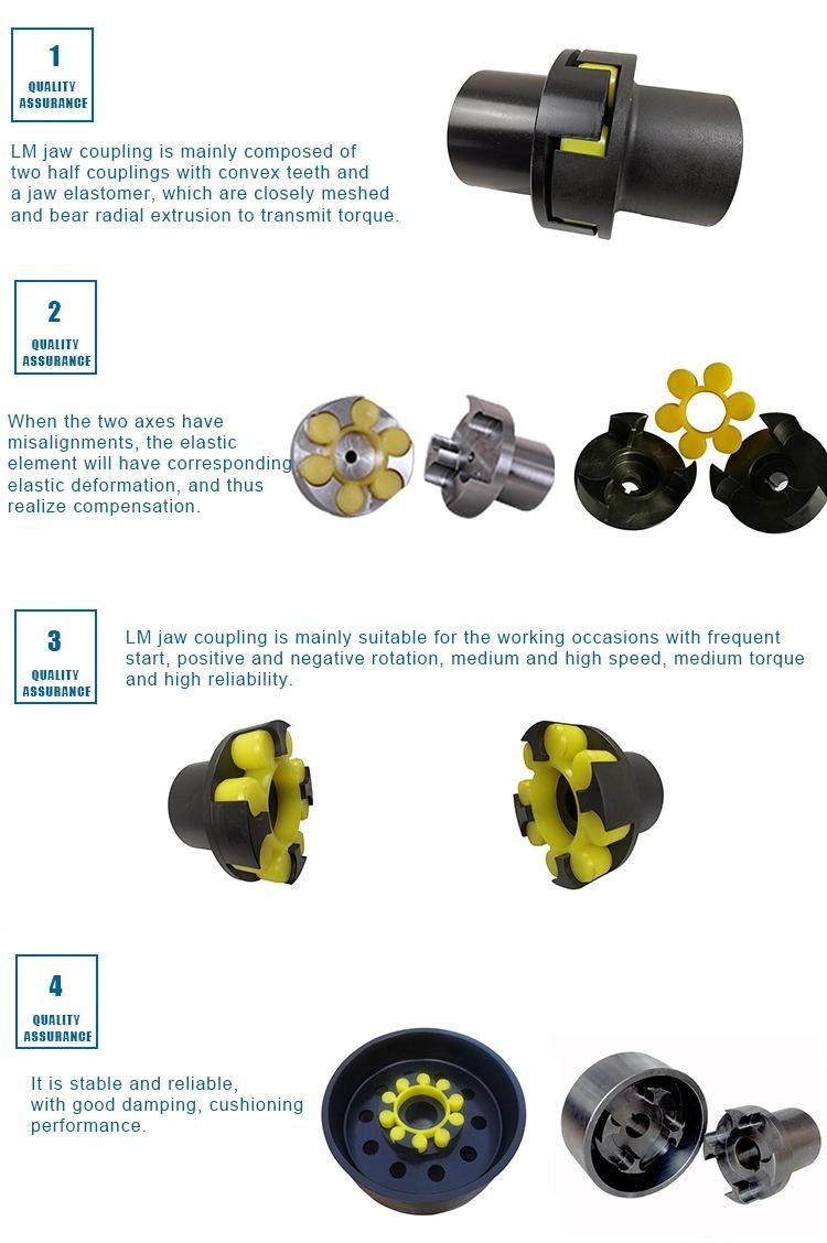 High Torque Transmission Efficiency Drive Shaft Jaw Flexible Coupling for Reducer Gearbox