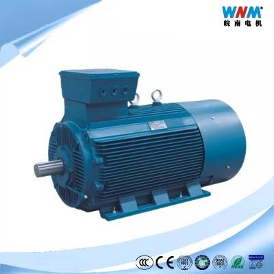 Ie2 Ie3 Ie4 630kw Electric Motor High Speed High Efficiency 690V 380V