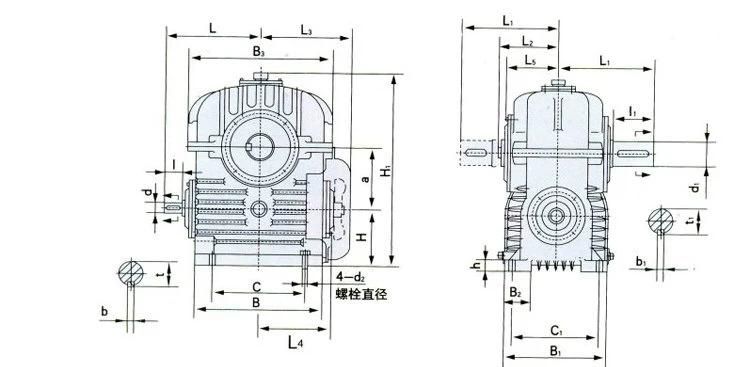 Cw/Wh Series Hollow Flank Worm Reducer Whx280