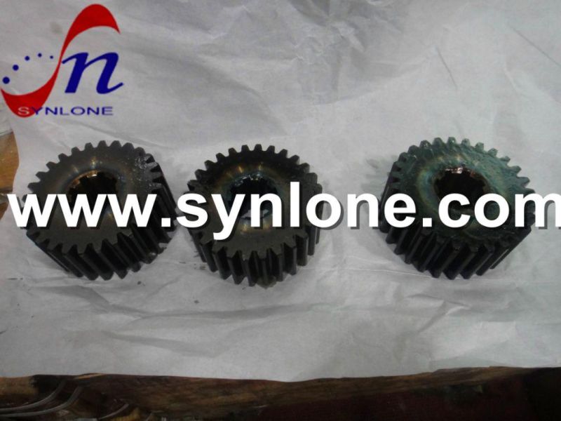 OEM Precision Stainless Steel/Brass/Aluminum Worm Gear