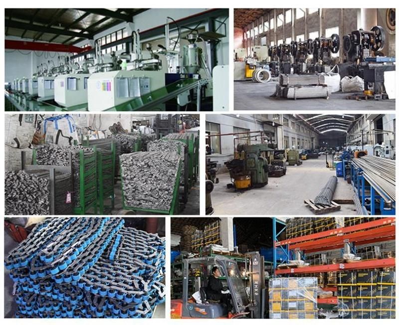 Professional Factory BS25 - C208A BS30 - C208A C2040 25.4mm Pitch Double Plus Conveyor Chain for Assembly Line