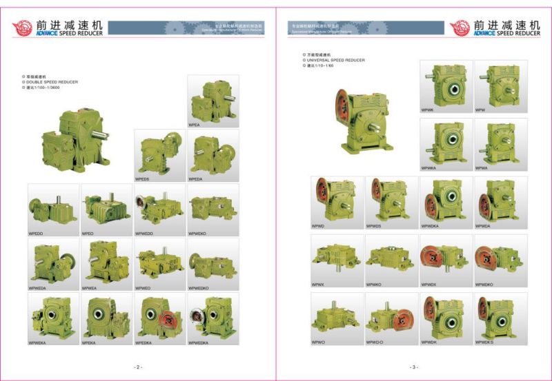 Wpa50 Worm Gear Reducer and Cast Iron Worm Gear Reducer