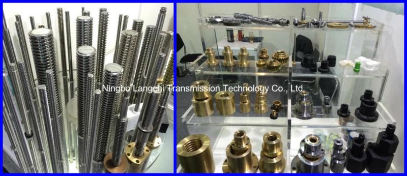 Set Transmission Parts Drive Worm and Worm Gear