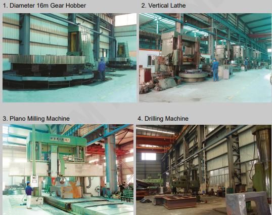 Totem Worm Gear with Worm Shaft