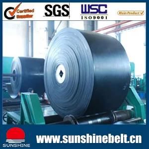 Conveyor Belt with Best Price for Sale