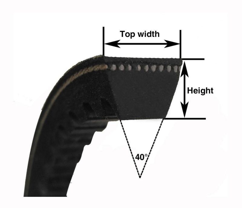 Rubber Cogged V Belt