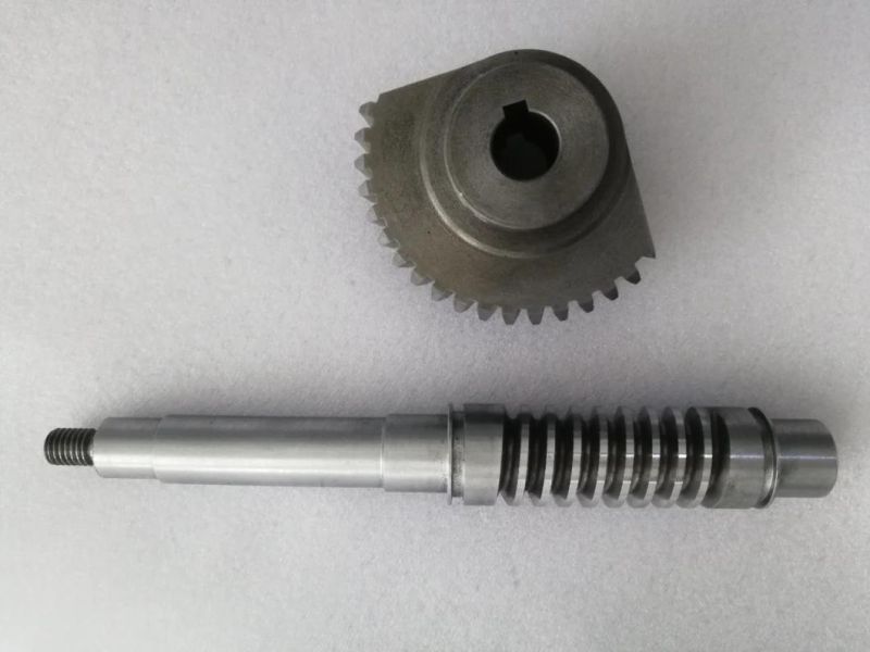 High Precision Carbon Steel More Head Worm Gear