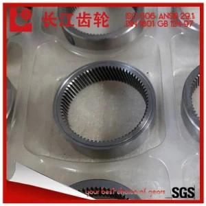 OEM/ODM Standard Spiral Miter Internal Gear