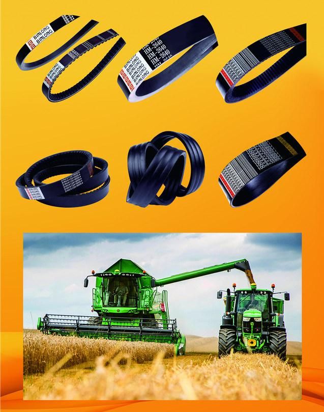 Ribbed Belts, Poly V-Belts, V-Ribbed Belts, Pk Belts