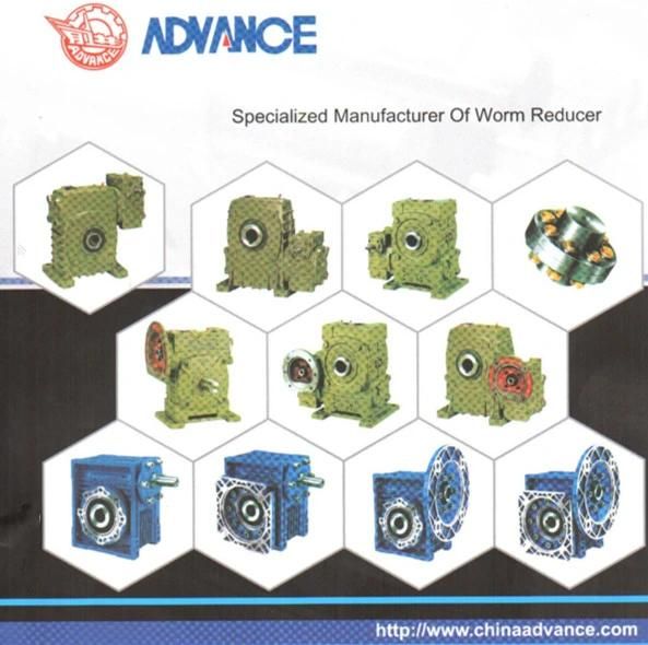 Wp Series Worm-Gear Speed Reducer