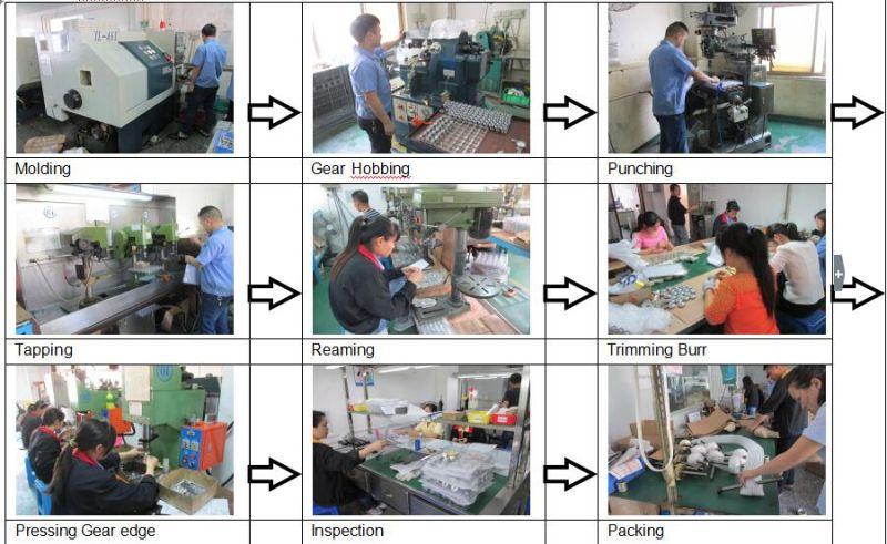 Ihf Customed Precision Gears, Spur Gear with C45 Steel