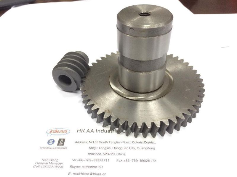 High Precision Brass Worm Gear Wheel and Steel Driving Gears