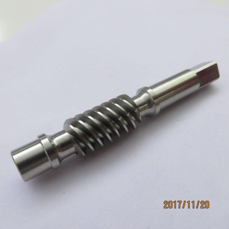 ISO9001 OEM Manufacturer Custom Made Alloy Steel 4140 1024 1018 Worm Gear Shaft