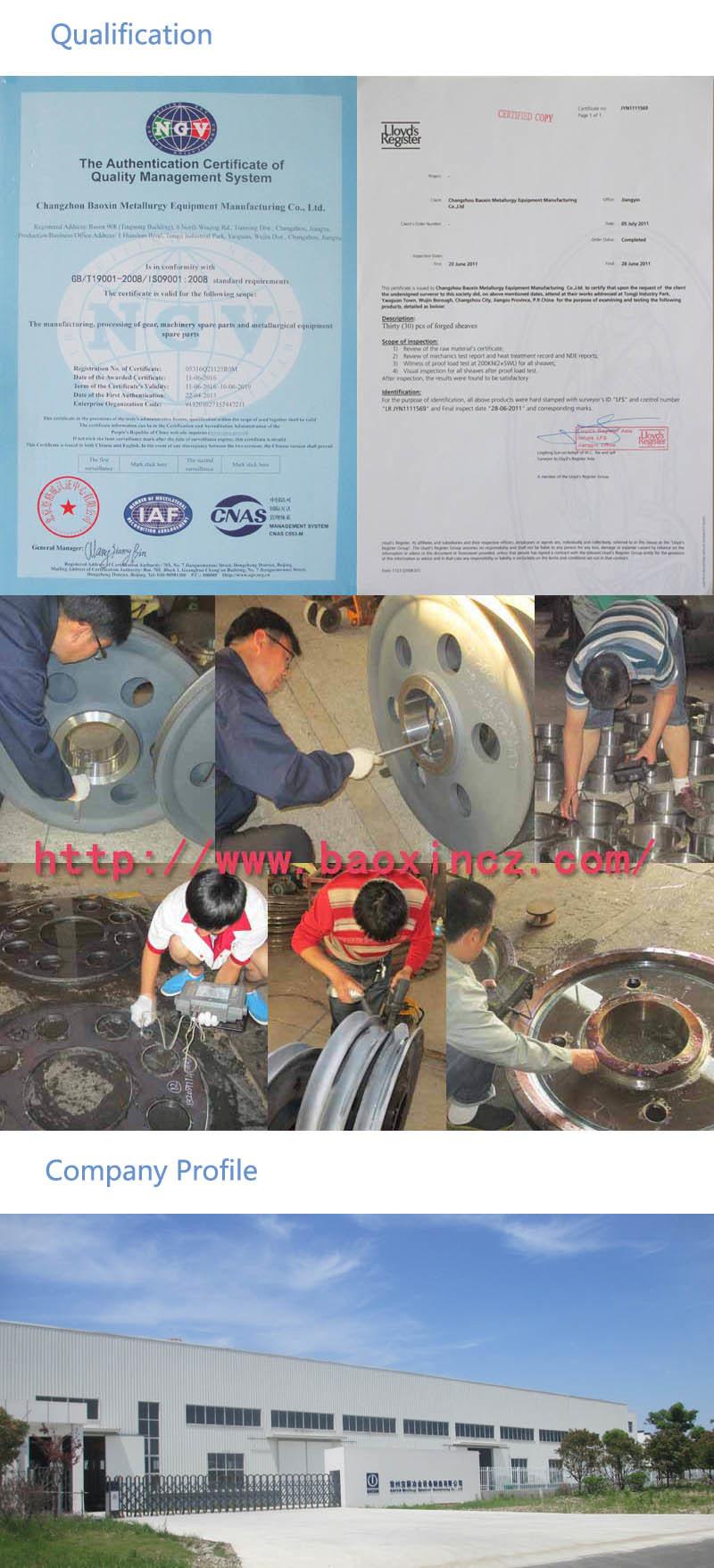 Dnv 20 Ton Wire Rope Steel Pulley