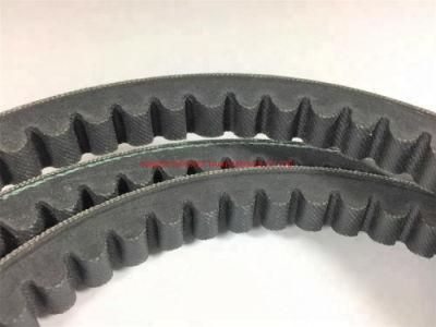 Ox/Ax/Bx/Cx Transmission Rubber Auto/Truck/Cummins Engine Raw Edge Cogged V Belt