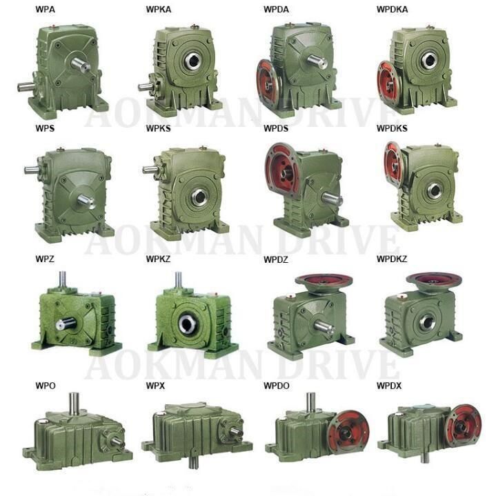 Aokman 1: 50 Ratio Right Angle Reducer Wp Series Worm Gearbox