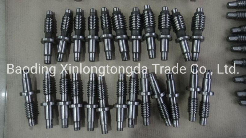 OEM Customised CNC Machining Auto Spare Parts Car Accessories Worm Shaft Gears