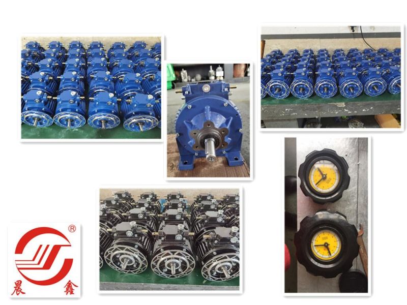 Cast Iron Planetary Gear Reducer Variator