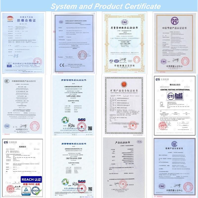 CCS Certificate Ie3 Preminum Efficiency 3-Phase Electric Motor for Marine and Ships or Offshore Installations