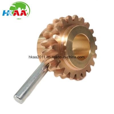 Precision Customized Brass Snowblower Auger Worm Gear