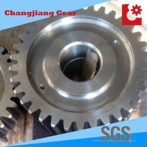 Hobbing &amp; Carburizing Metal Large Spur Driving Precision Gears