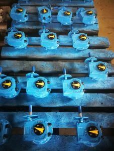 Different Ratio Worm Gearbox for Valve