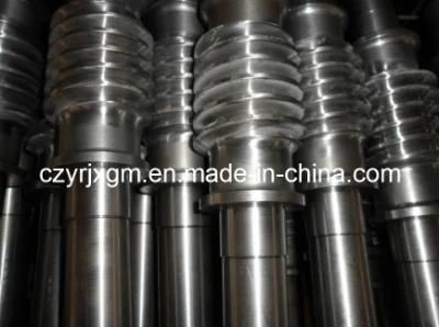 High Precision Carbon Steel More Head Worm Gear