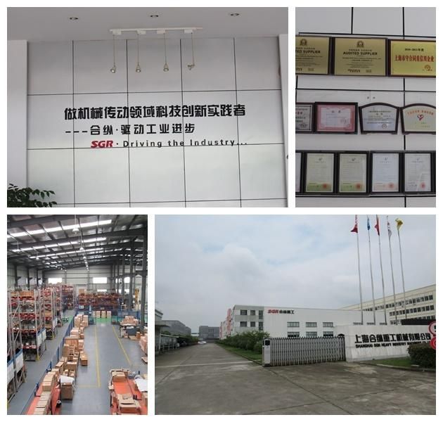 Chinese Factory of Cone Worm Series Worm Reduction Gearbox