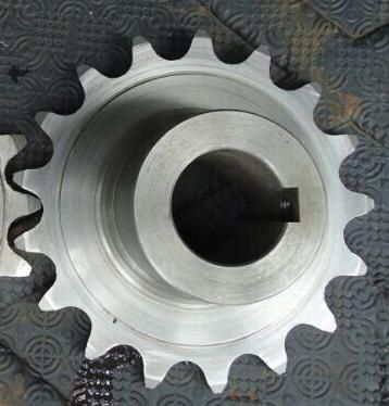 Stainless Steel Sprocket for Conveyor Equipment