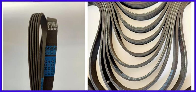Fenda for African The Middle East Russia Market 6pk1725 Poly V Belts Auto Belts