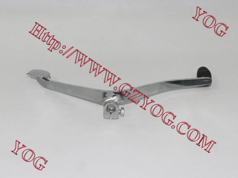 Motorcycle Parts - Gear Shifting Lever (GN-125)