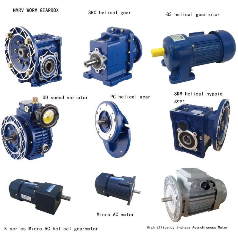 Nmrv075 Worm Reducer with Output Flange